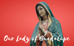 Our Lady of Guadalupe